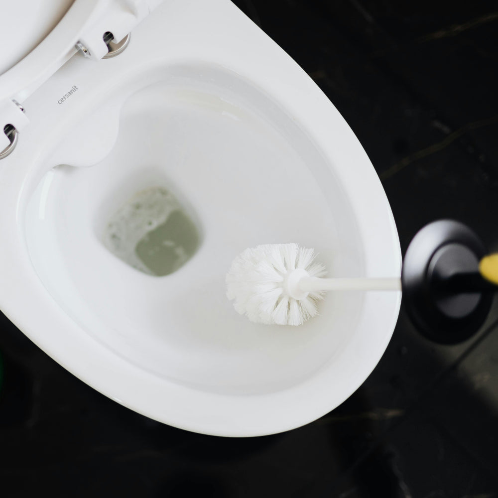 How To Clean Your Toilet With Citric Acid Effectively - Moral Fibres